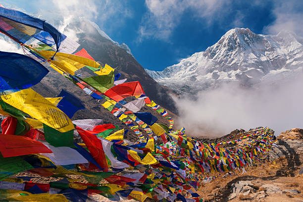 Financial Services